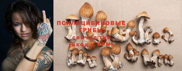сатива Нея