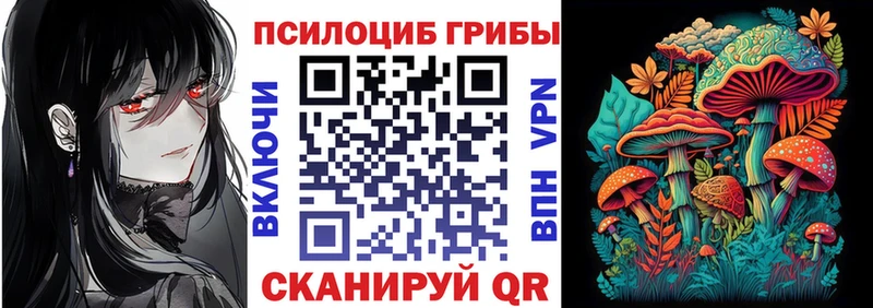 Псилоцибиновые грибы Psilocybine cubensis  Нижний Ломов 